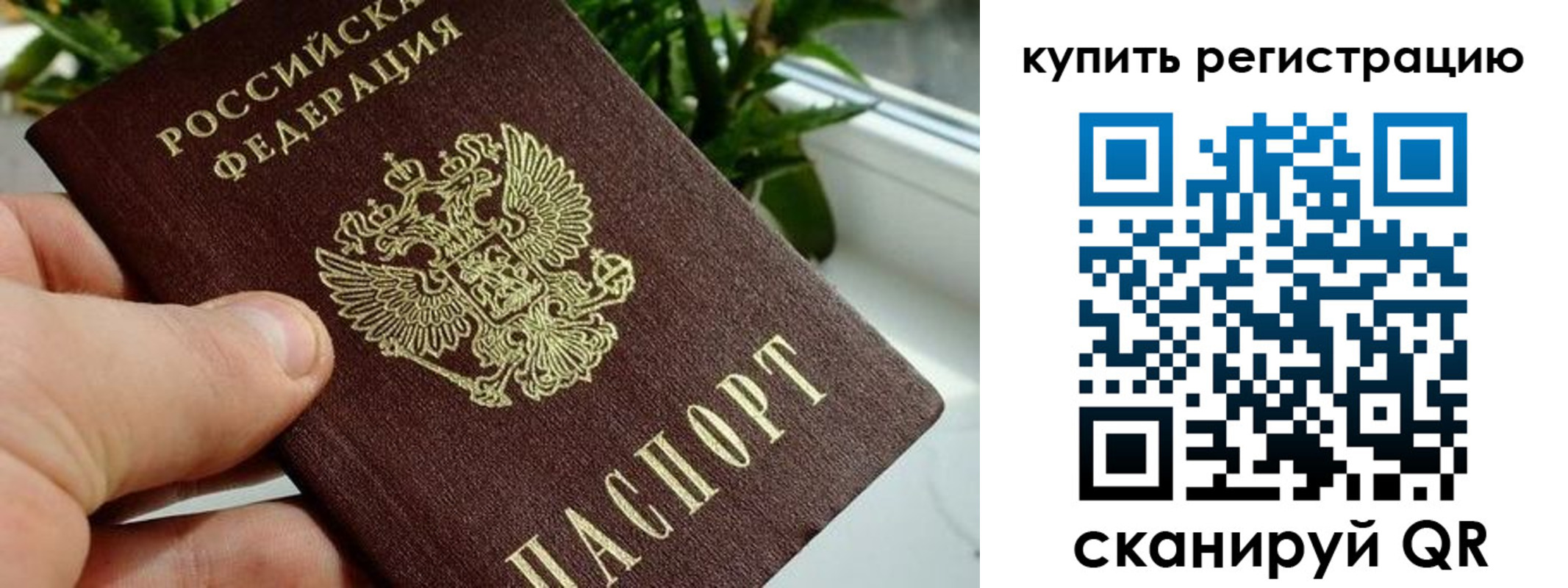 прописка гарантия в Омске